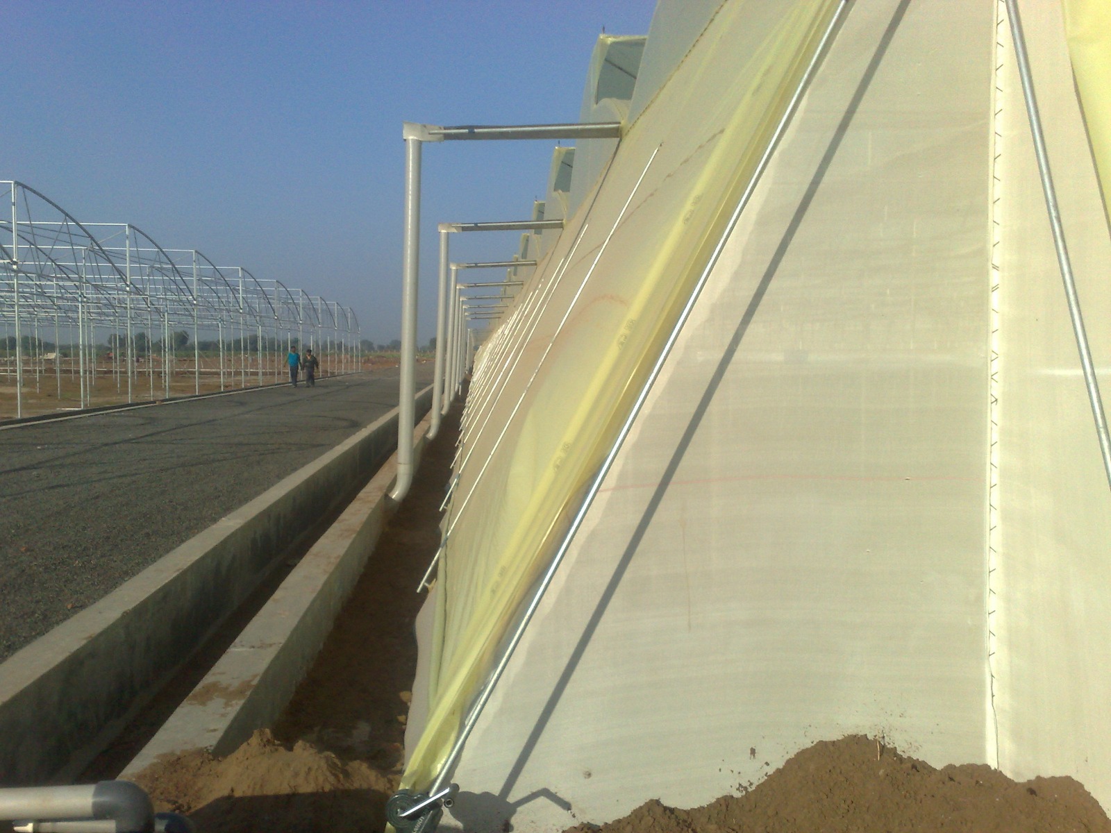 Greenhouse Project 17